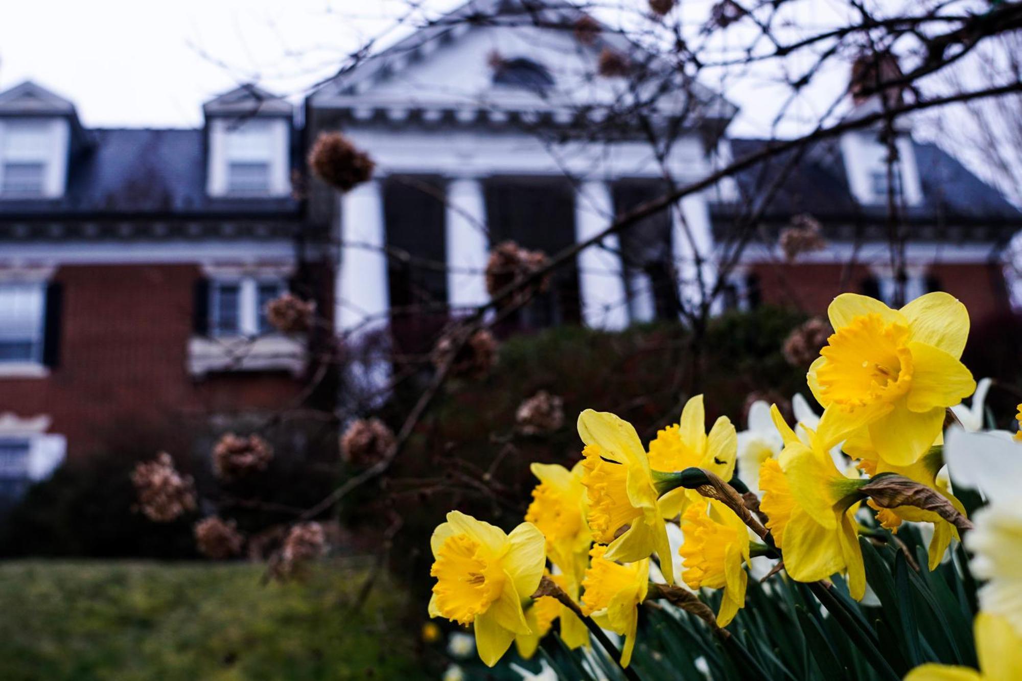 Mercersburg Inn Kültér fotó